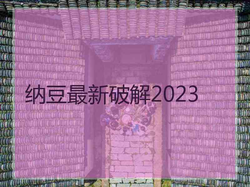 纳豆最新破解2023