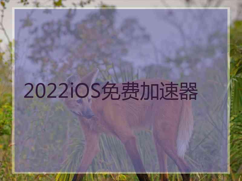 2022iOS免费加速器
