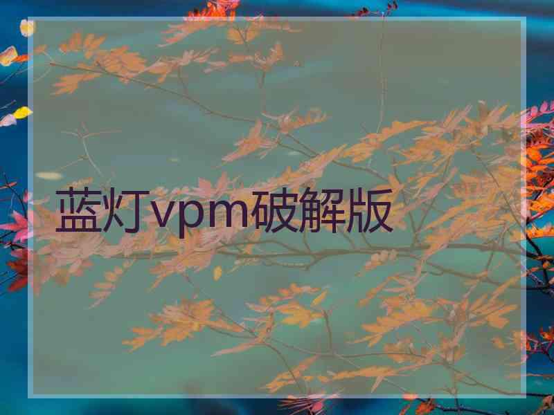 蓝灯vpm破解版