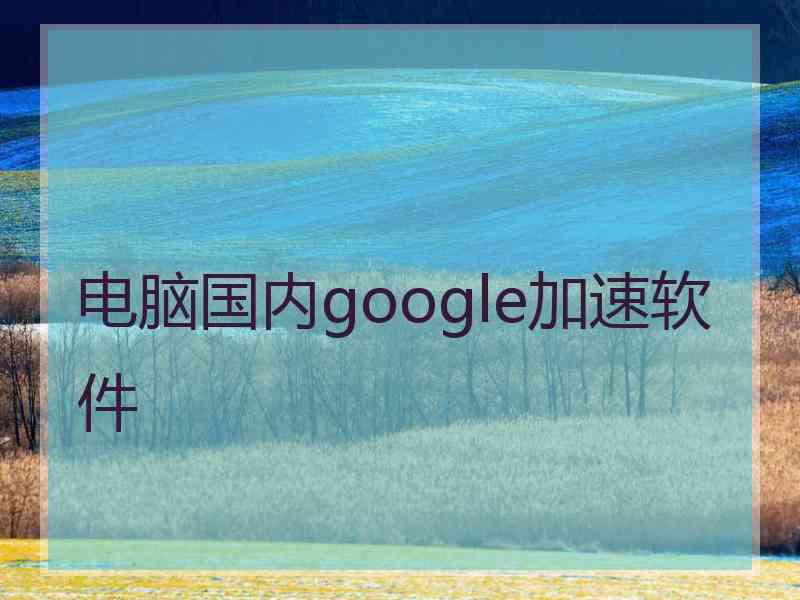 电脑国内google加速软件