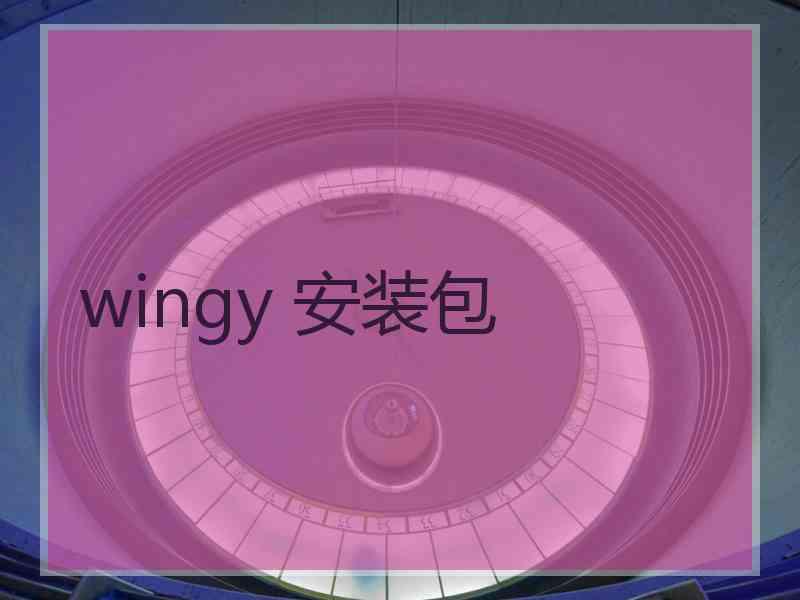 wingy 安装包