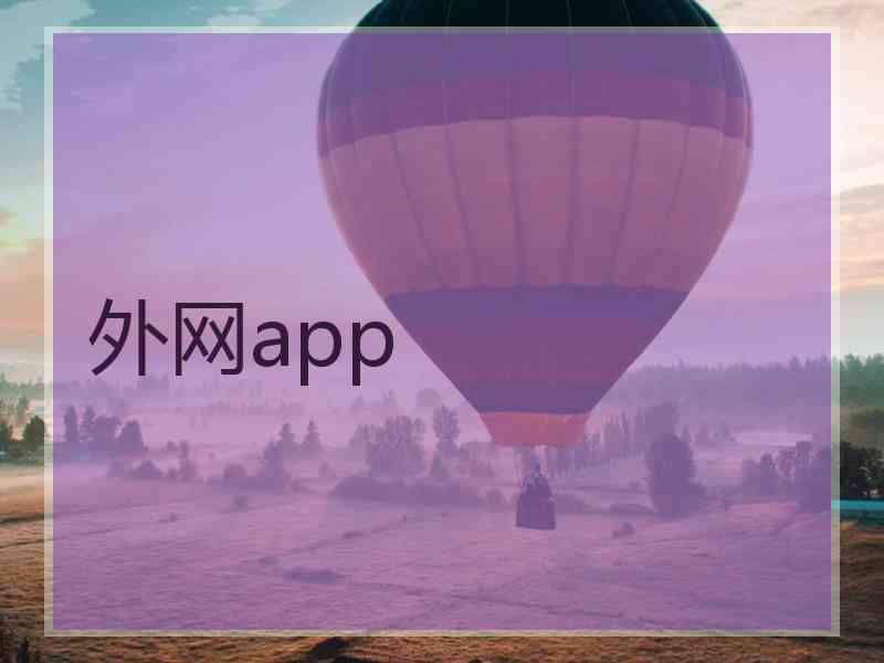 外网app