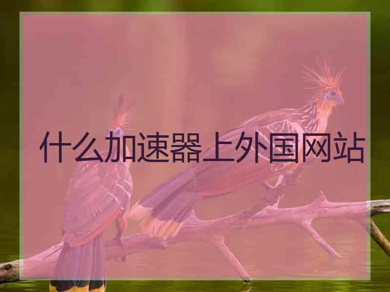 什么加速器上外国网站