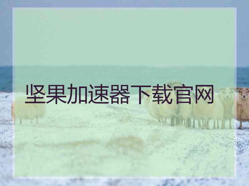 坚果加速器下载官网