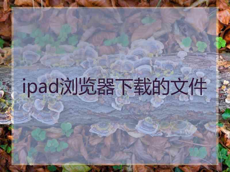 ipad浏览器下载的文件