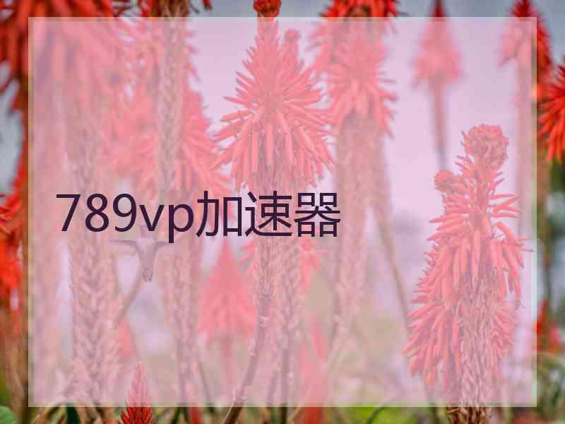 789vp加速器