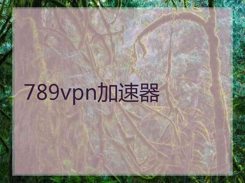789vpn加速器