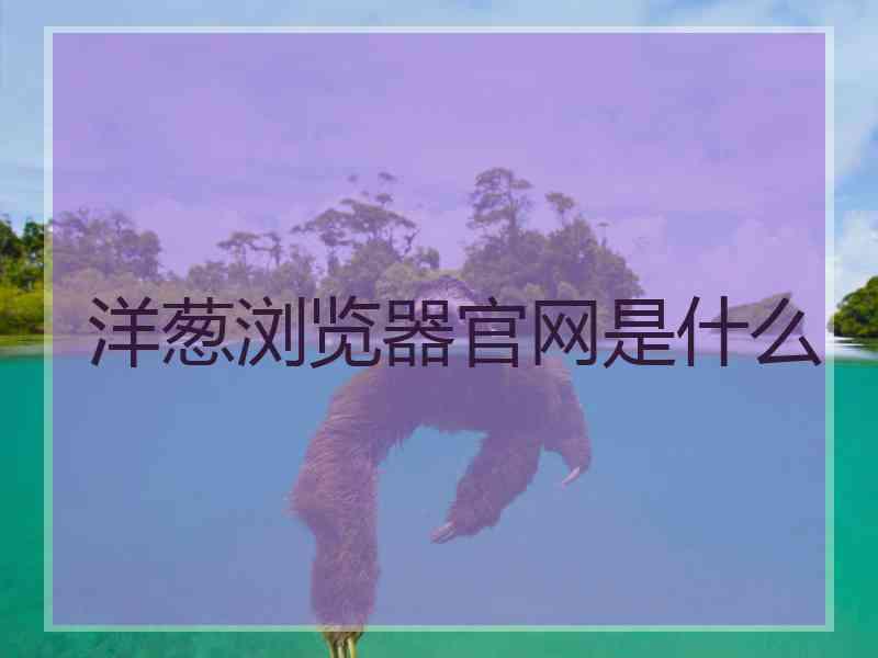 洋葱浏览器官网是什么