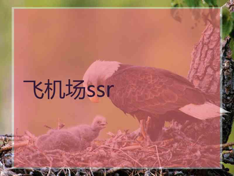 飞机场ssr