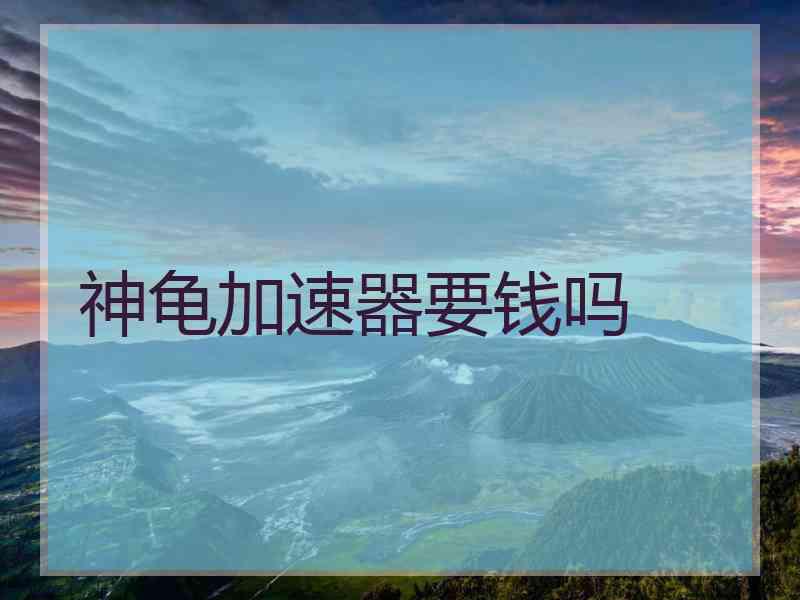 神龟加速器要钱吗