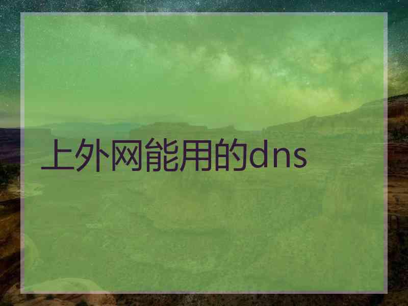 上外网能用的dns