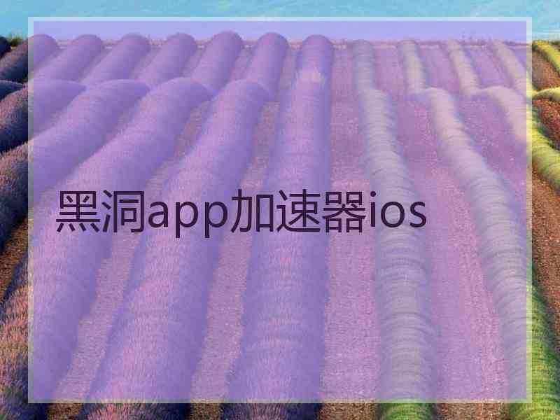 黑洞app加速器ios