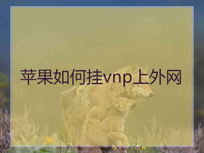 苹果如何挂vnp上外网