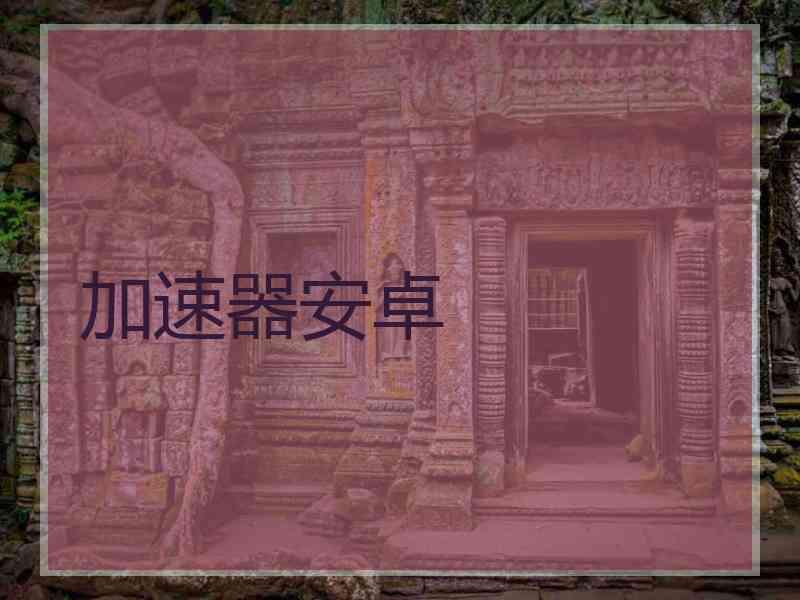 加速器安卓