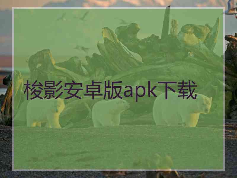 梭影安卓版apk下载