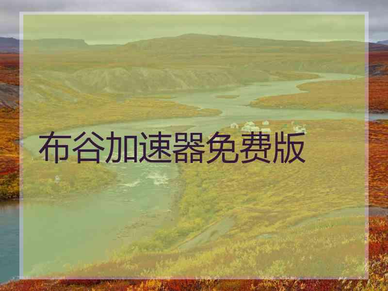 布谷加速器免费版