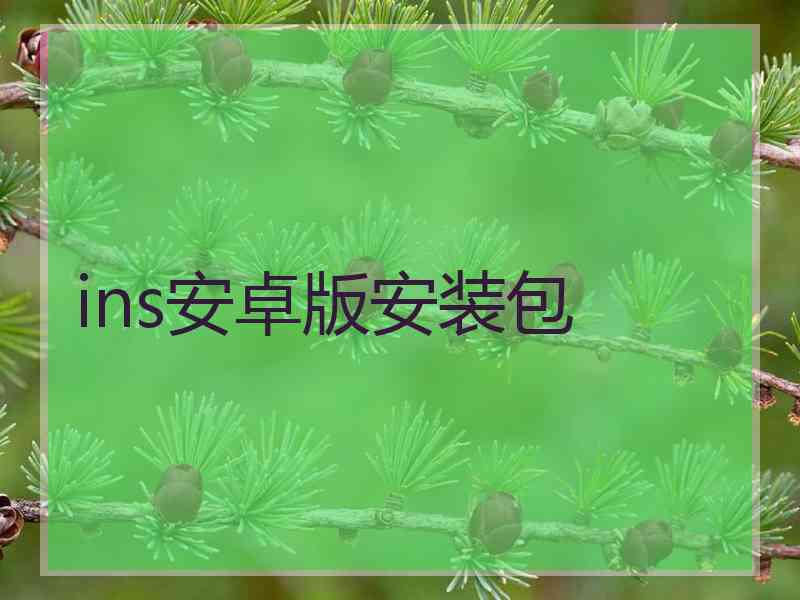 ins安卓版安装包