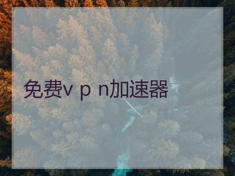 免费v p n加速器