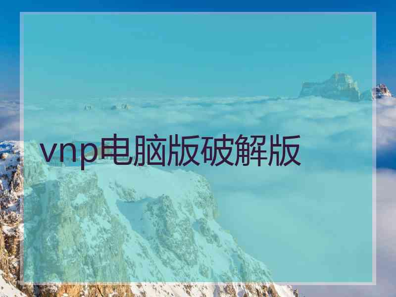 vnp电脑版破解版