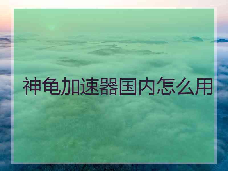 神龟加速器国内怎么用