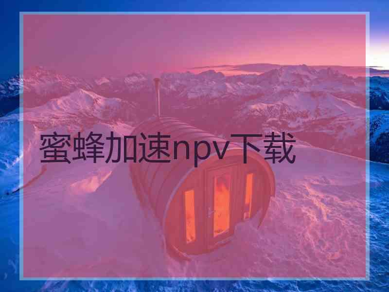 蜜蜂加速npv下载