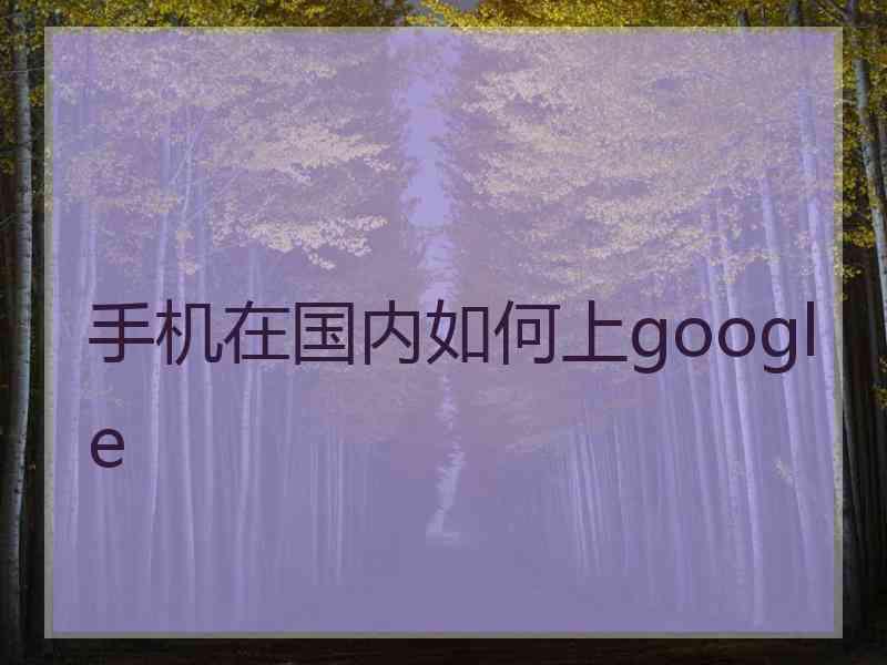 手机在国内如何上google