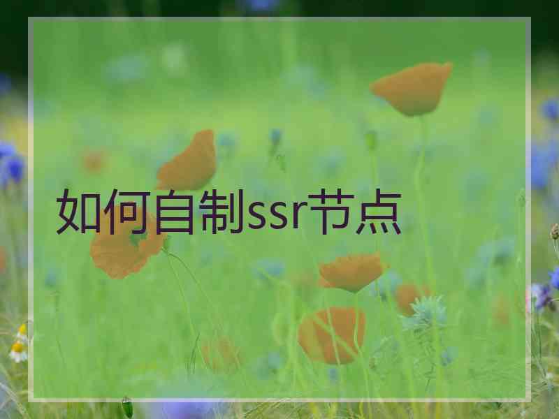 如何自制ssr节点