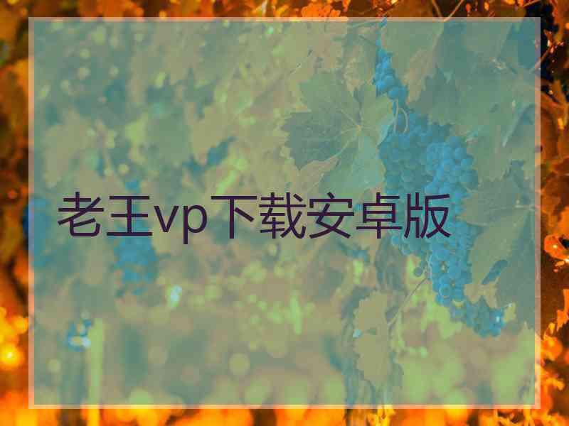 老王vp下载安卓版