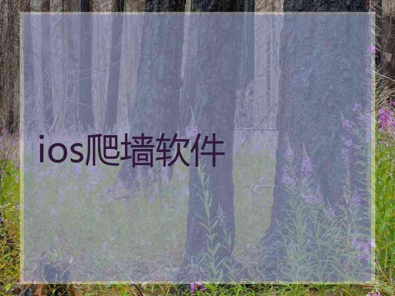 ios爬墙软件