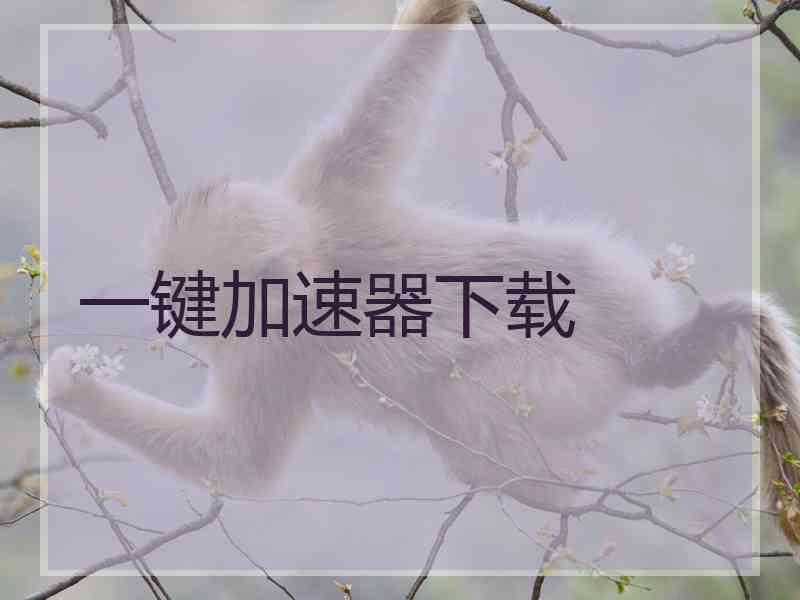 一键加速器下载