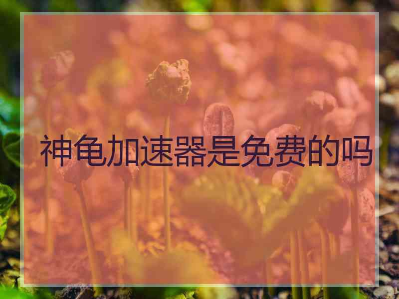 神龟加速器是免费的吗