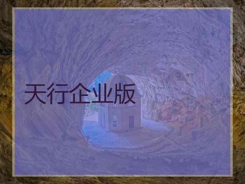 天行企业版