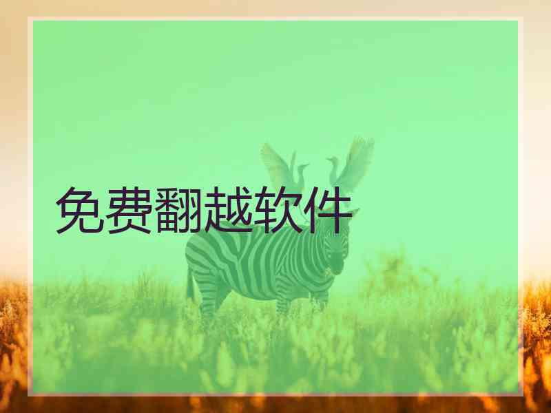 免费翻越软件