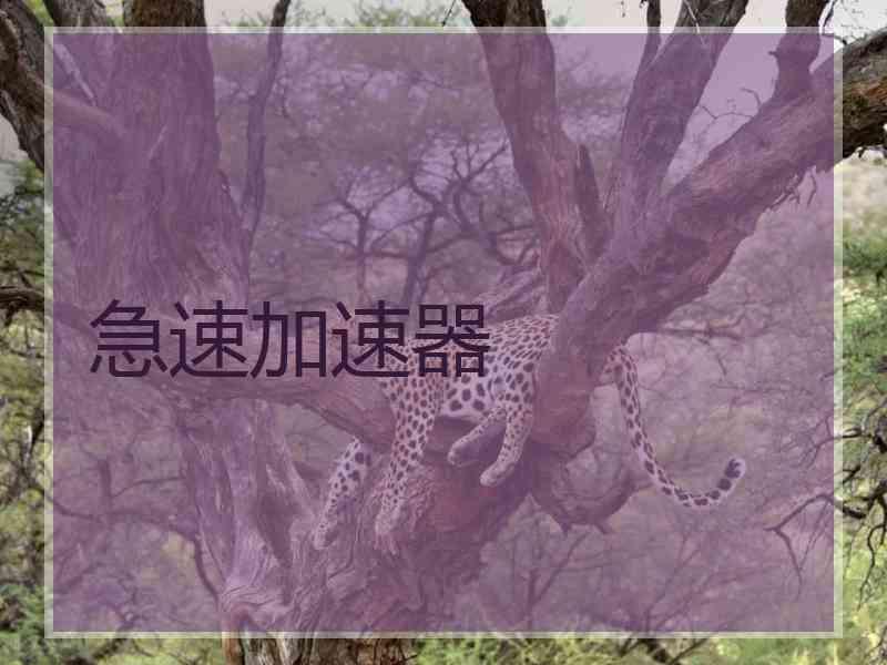 急速加速器