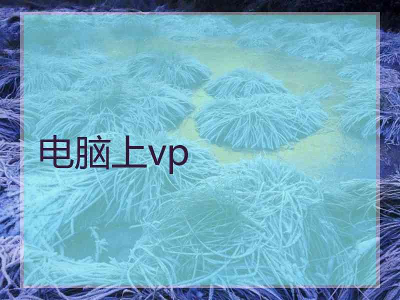 电脑上vp