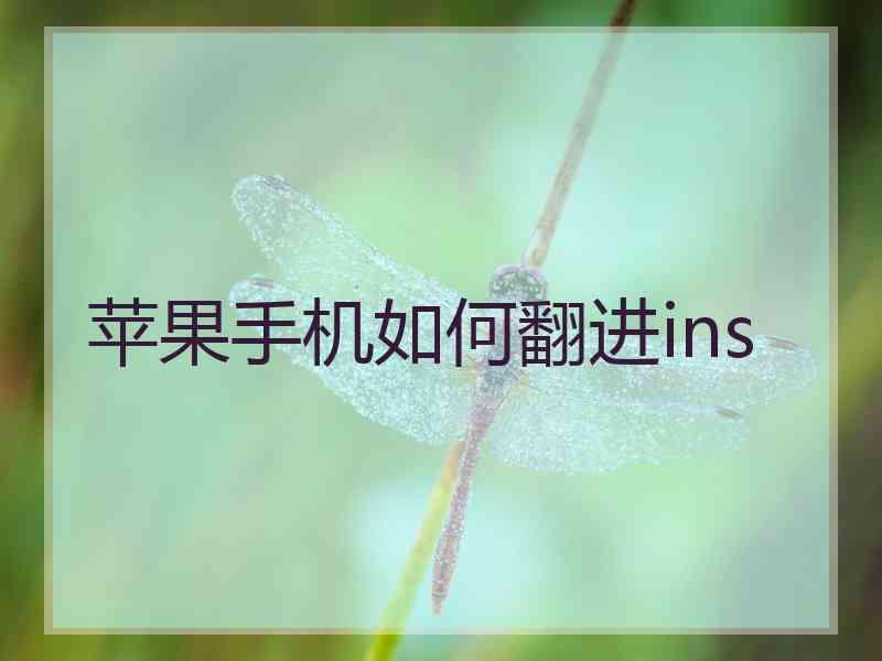 苹果手机如何翻进ins