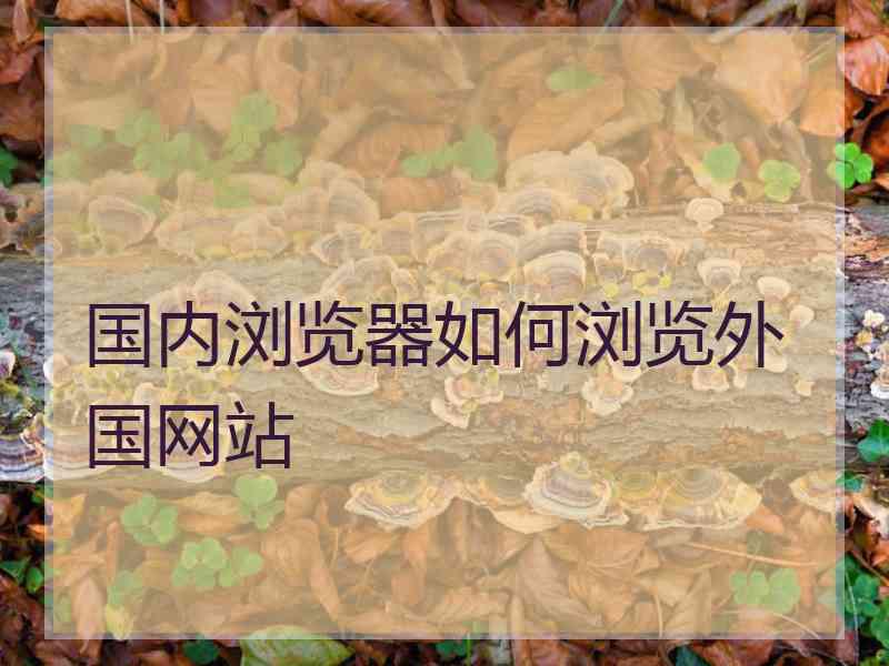 国内浏览器如何浏览外国网站