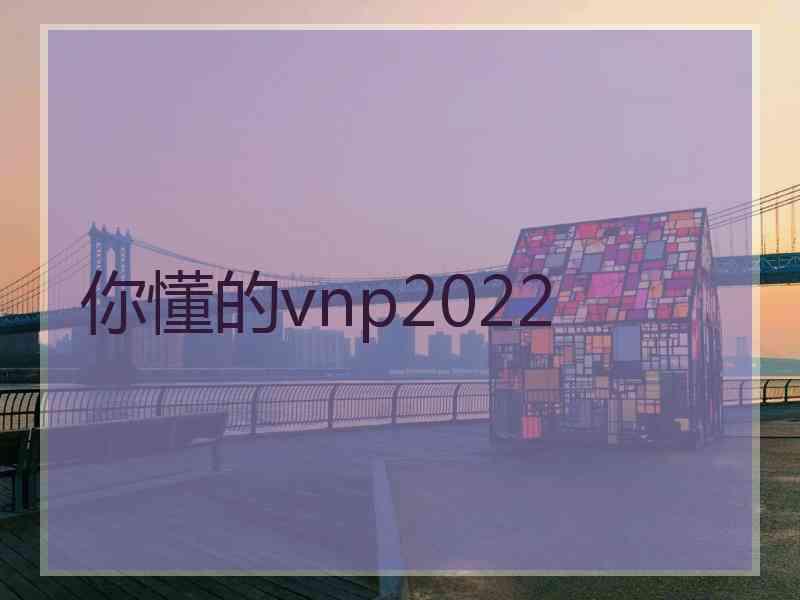 你懂的vnp2022