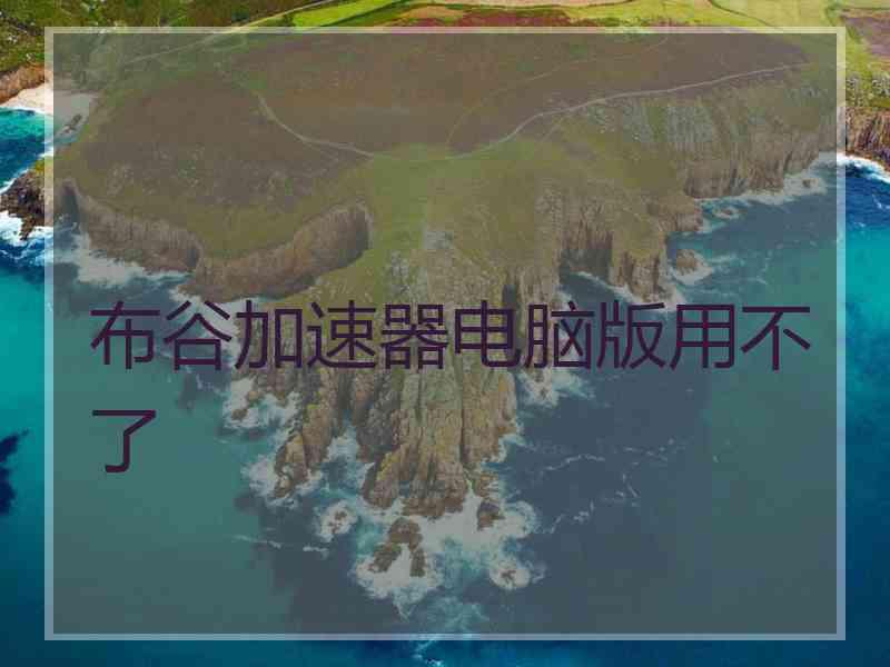 布谷加速器电脑版用不了