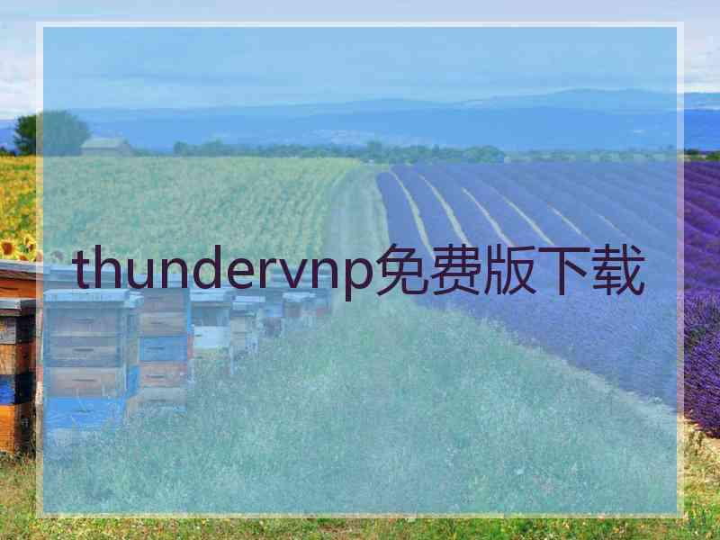 thundervnp免费版下载