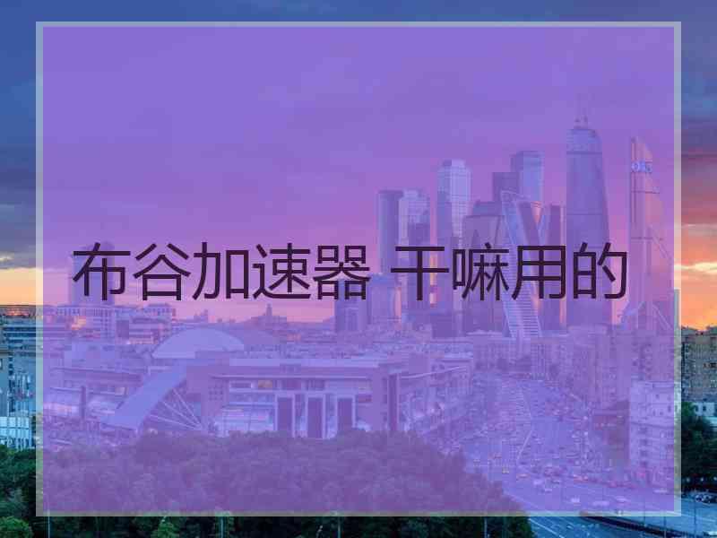 布谷加速器 干嘛用的