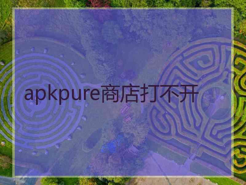 apkpure商店打不开
