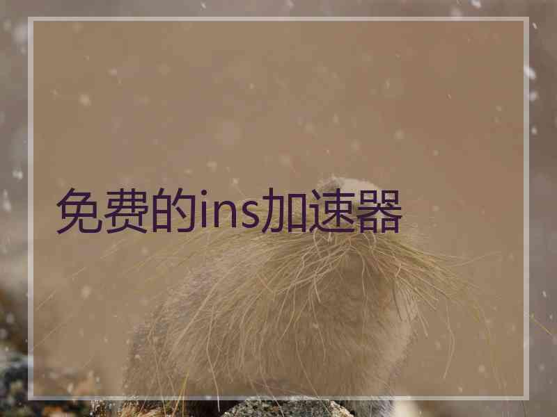 免费的ins加速器