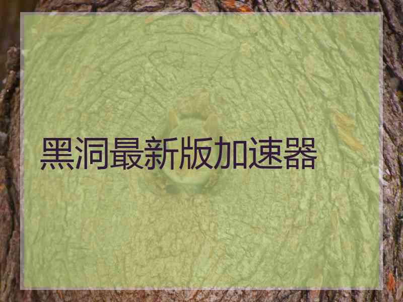 黑洞最新版加速器