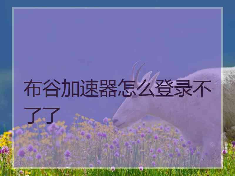 布谷加速器怎么登录不了了