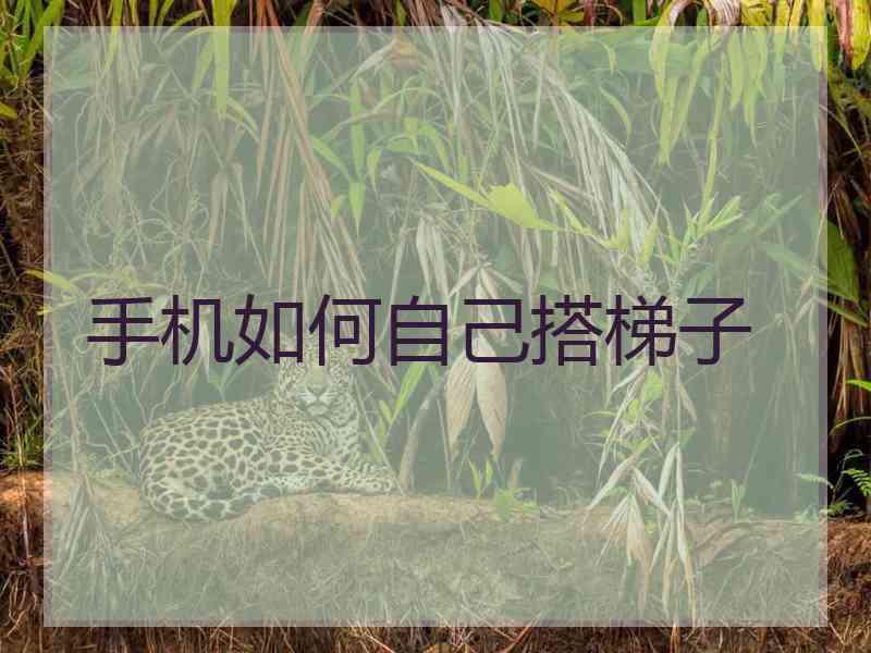 手机如何自己搭梯子