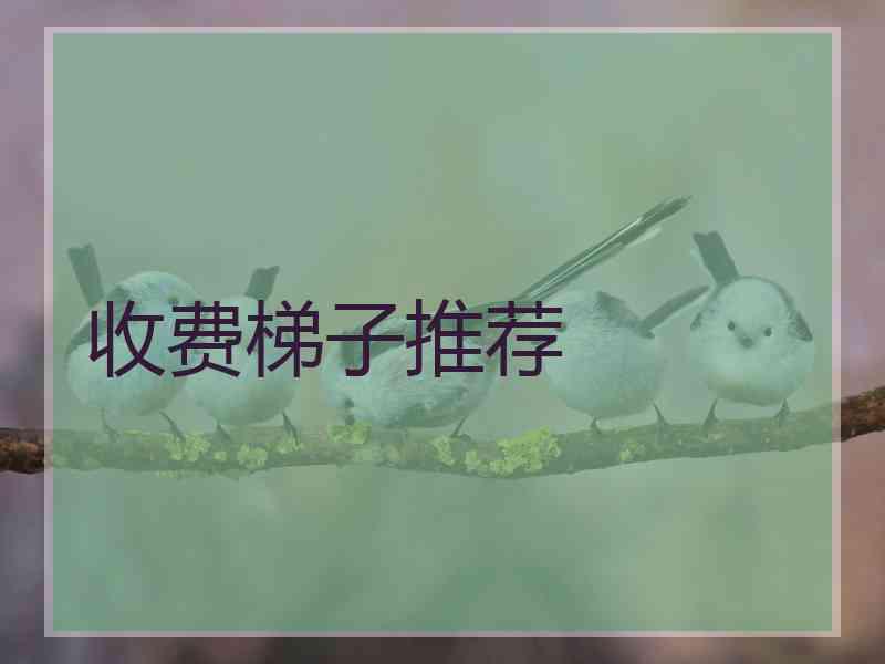 收费梯子推荐