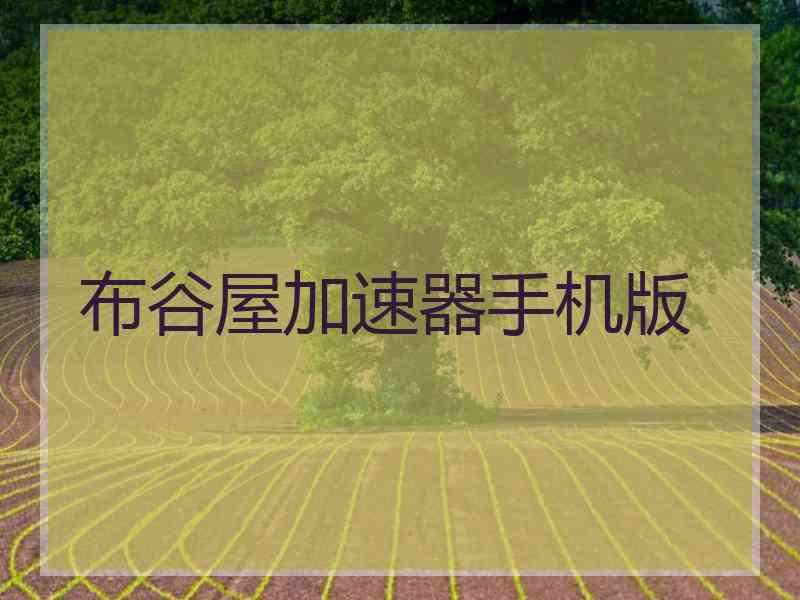 布谷屋加速器手机版
