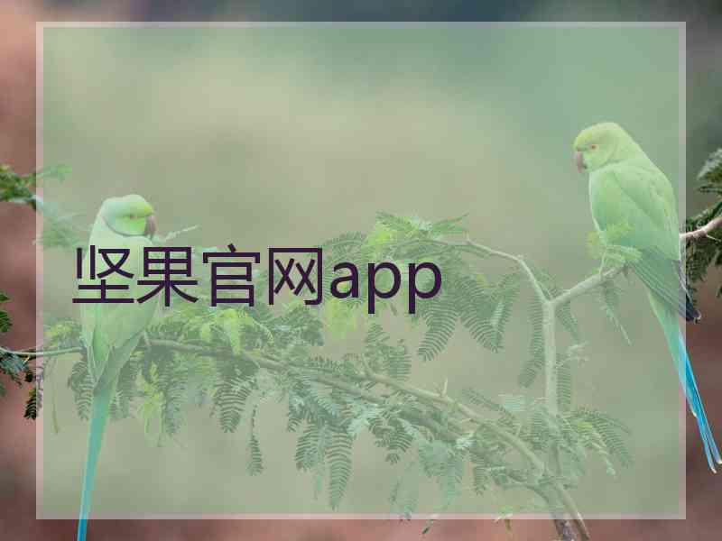 坚果官网app