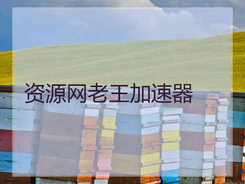 资源网老王加速器